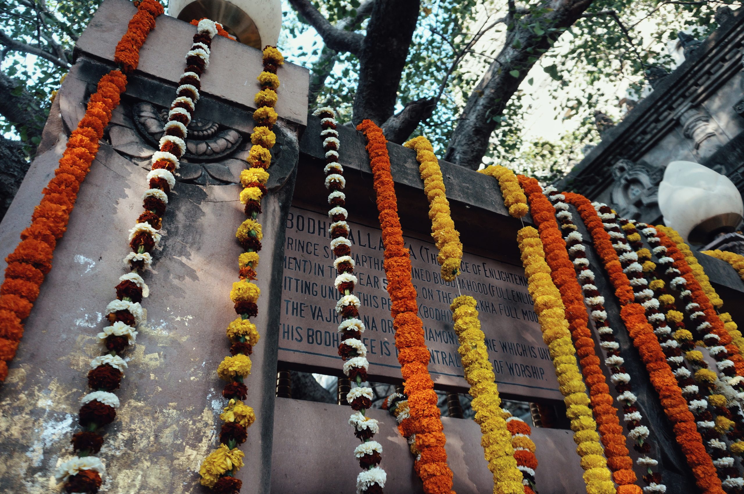 Featured image for “India Pilgrimage 2024”